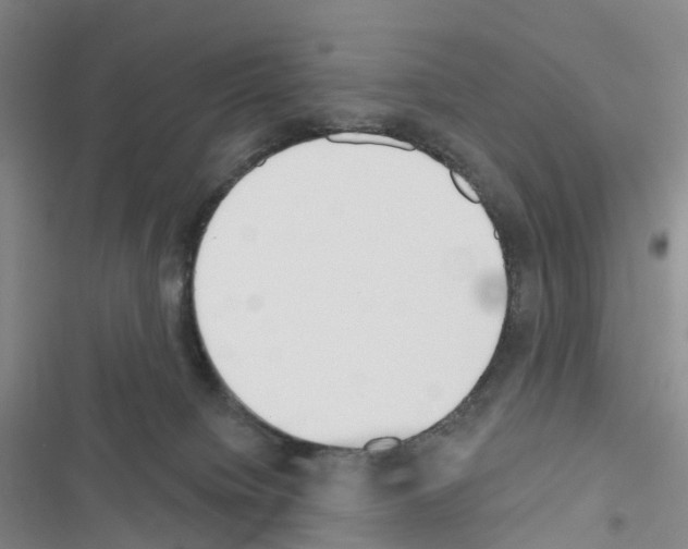 X0000116650084201001251206