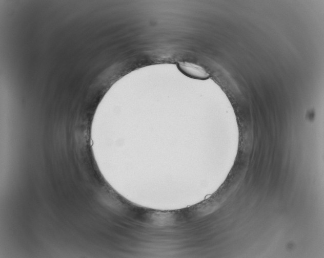 X0000116650085201001251206