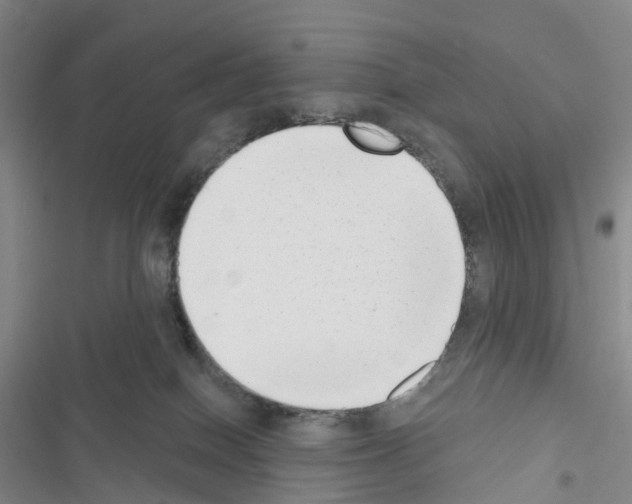 X0000116650086201001251206