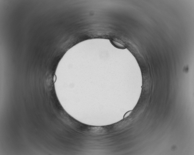 X0000116650087201001251206
