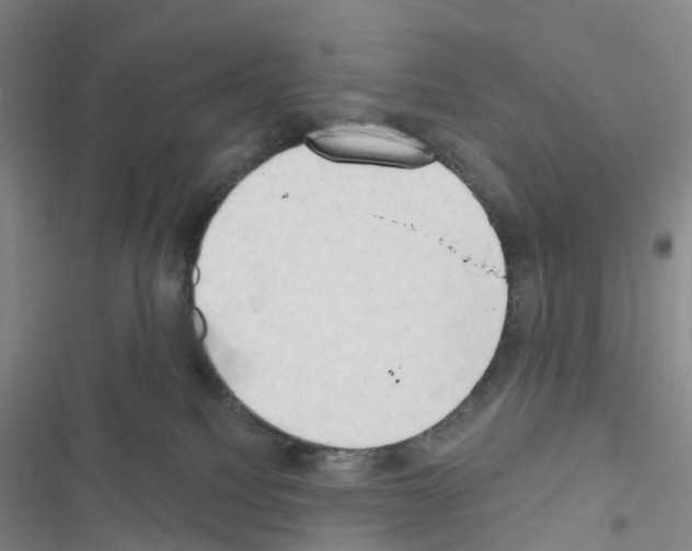 X0000116650088201001251206