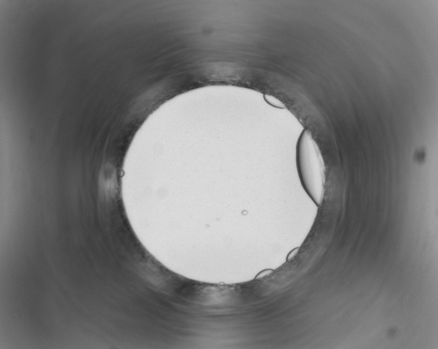 X0000116650089201001251206