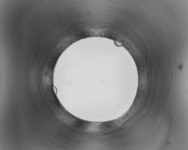 X0000116650090201001251206