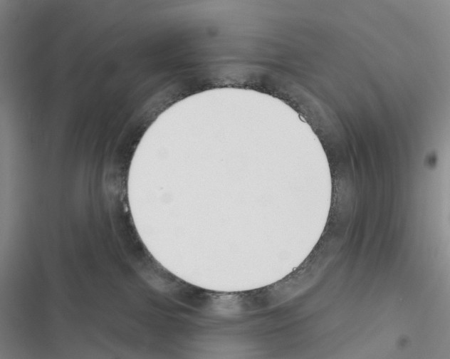 X0000116650091201001251206