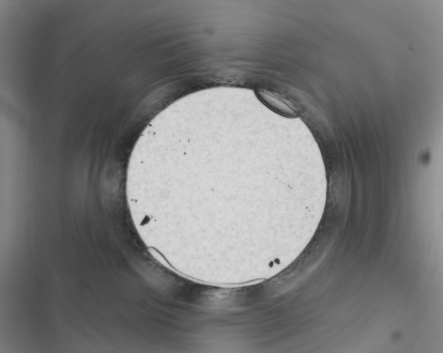 X0000116650092201001251206
