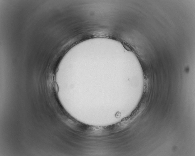 X0000116650093201001251206