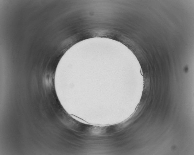 X0000116650094201001251206