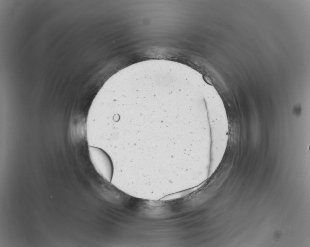 X0000116650095201001251206