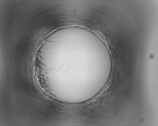 X0000116650097201001251205