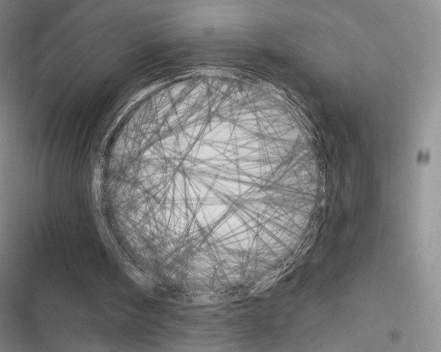 X0000116650098201001251205