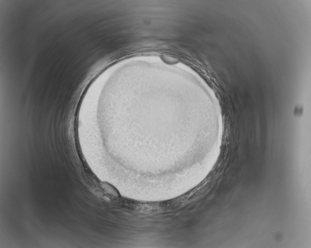 X0000116650099201001251205
