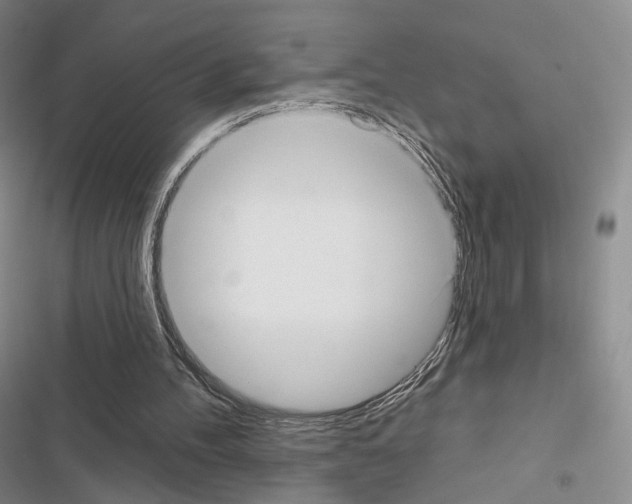 X0000116650100201001251205