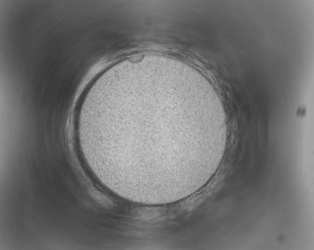 X0000116650102201001251205