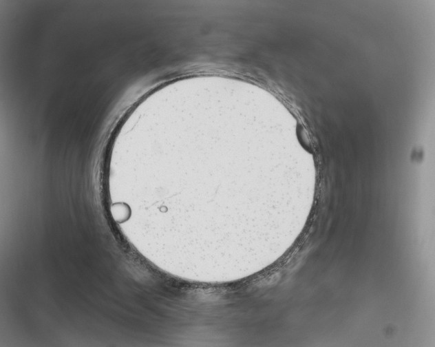 X0000116650103201001251205
