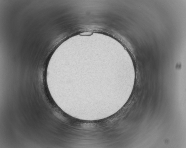 X0000116650105201001251205