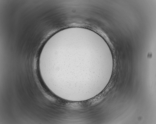 X0000116650106201001251205