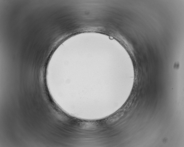 X0000116650107201001251205