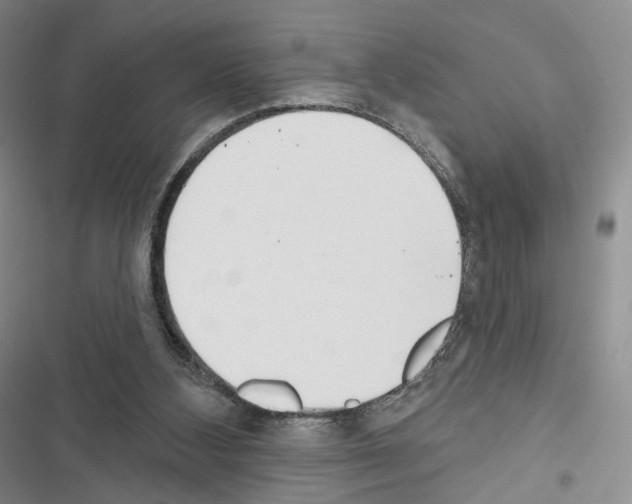 X0000116650108201001251205