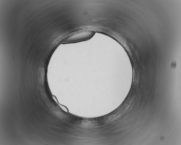 X0000116650109201001251205