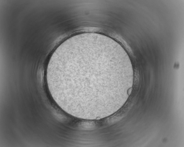 X0000116650110201001251205