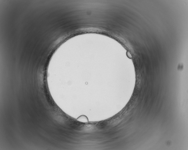 X0000116650111201001251205