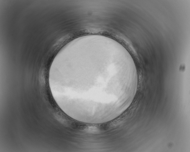 X0000116650114201001251205