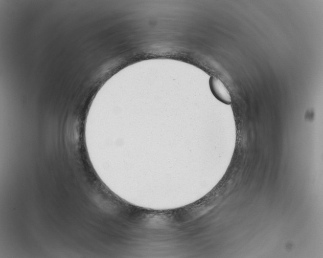 X0000116650115201001251205