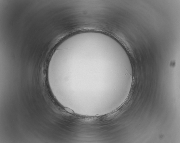 X0000116650116201001251205