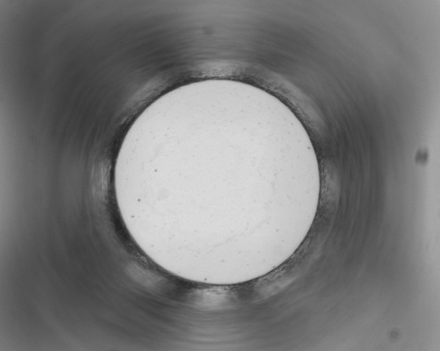 X0000116650118201001251205