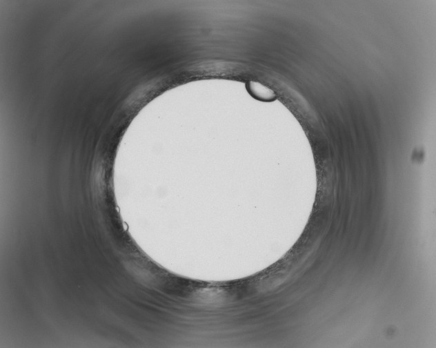 X0000116650119201001251205