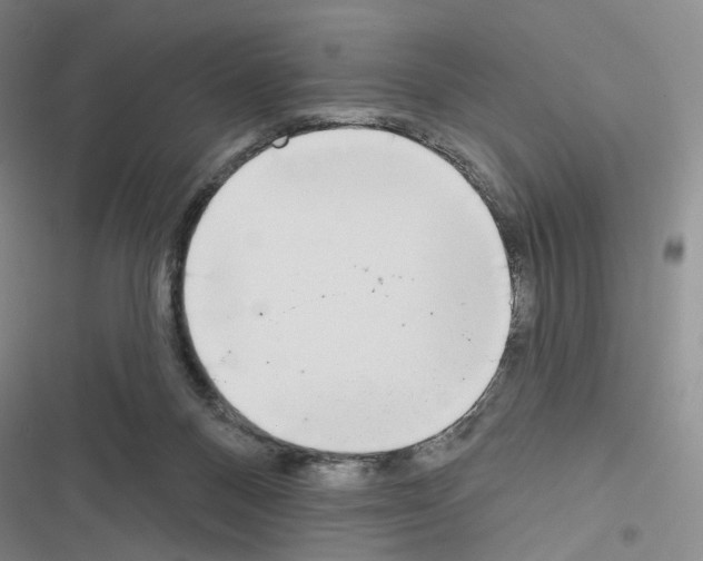 X0000116650120201001251205
