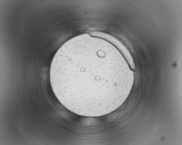 X0000116650123201001251205