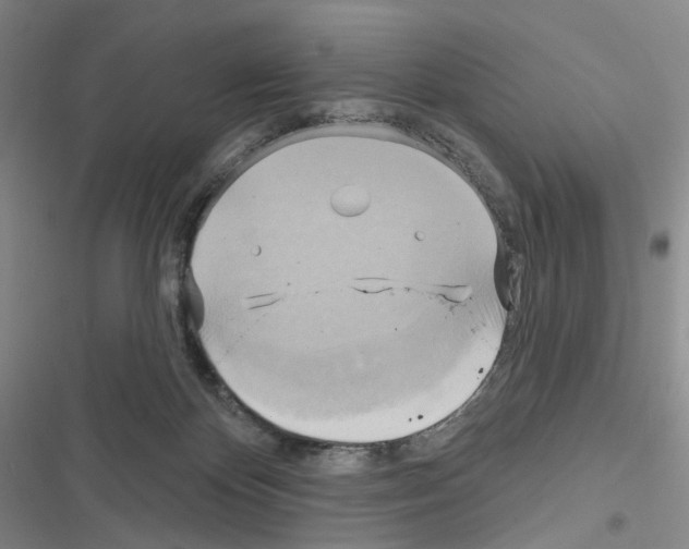 X0000116650124201001251205