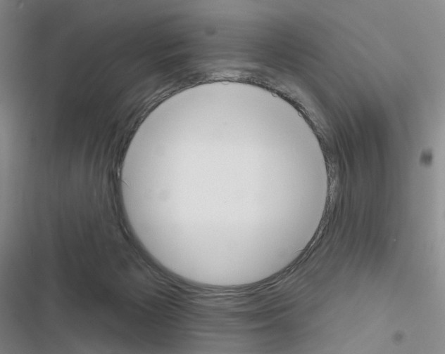 X0000116650125201001251205