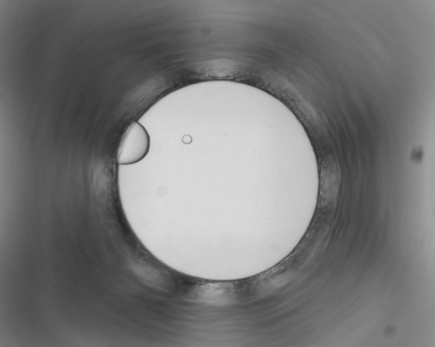 X0000116650126201001251205