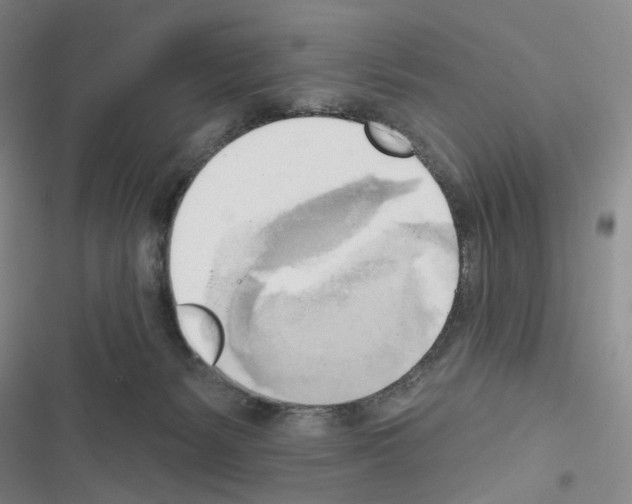 X0000116650127201001251205