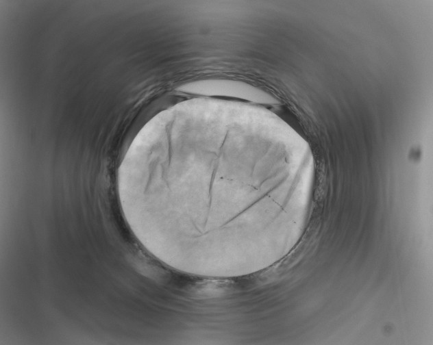 X0000116650128201001251205