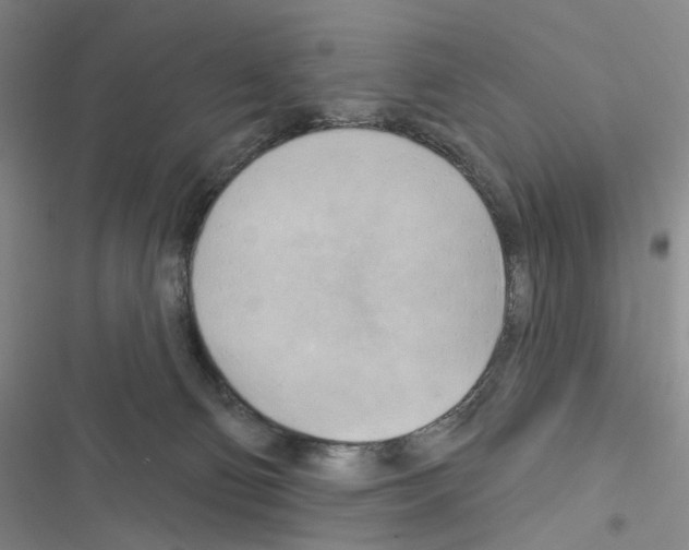 X0000116650130201001251205