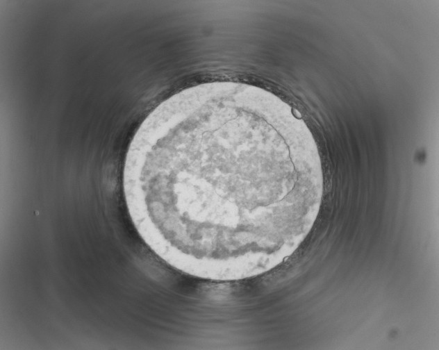 X0000116650131201001251205