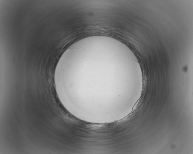 X0000116650132201001251205
