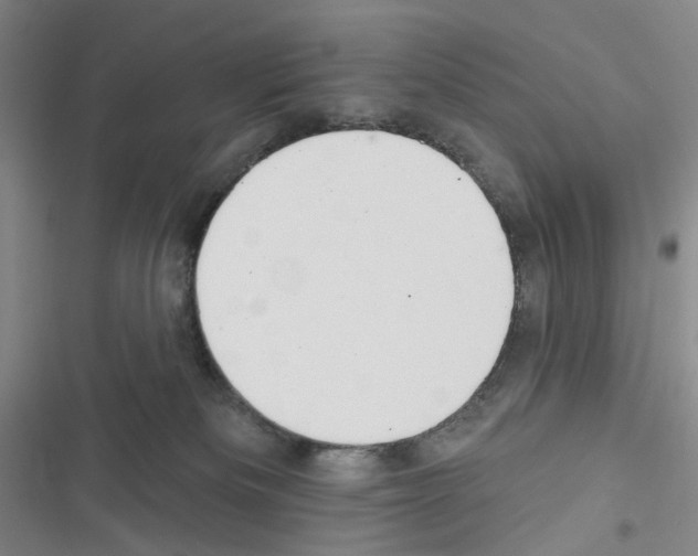 X0000116650133201001251205