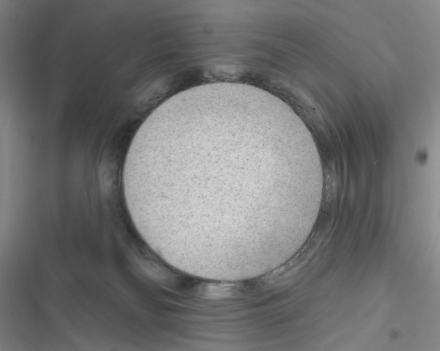 X0000116650134201001251205
