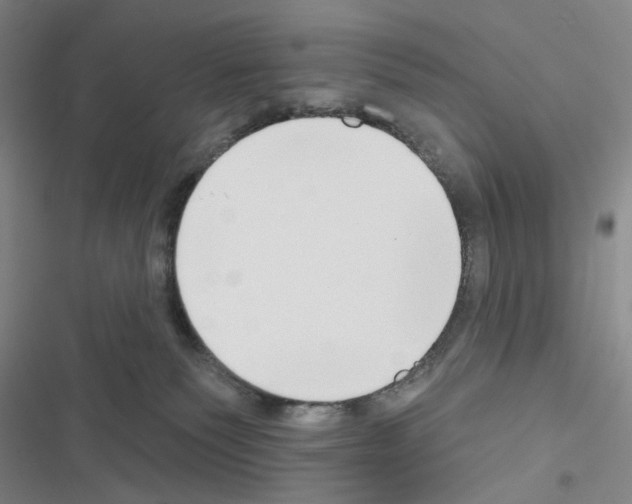 X0000116650135201001251205