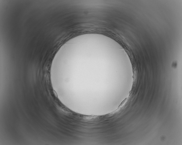 X0000116650136201001251205