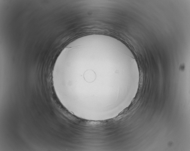 X0000116650137201001251205