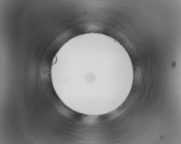 X0000116650138201001251205