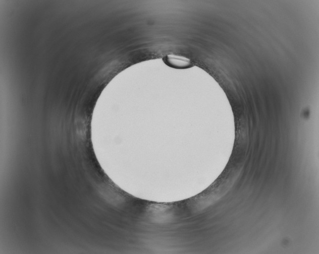 X0000116650139201001251205