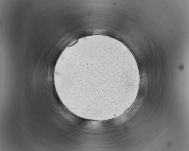 X0000116650140201001251205