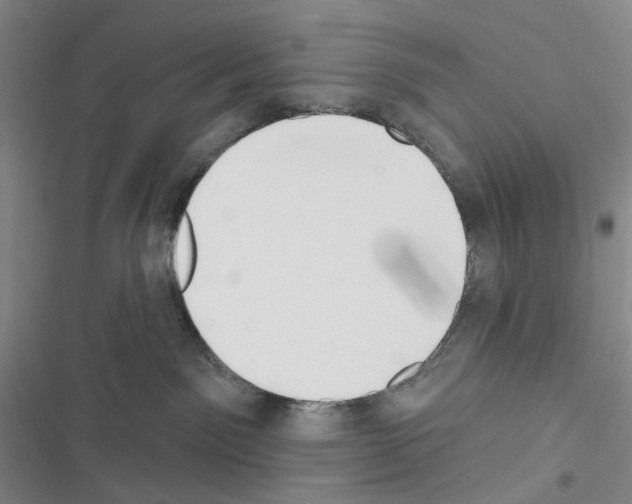 X0000116650141201001251205