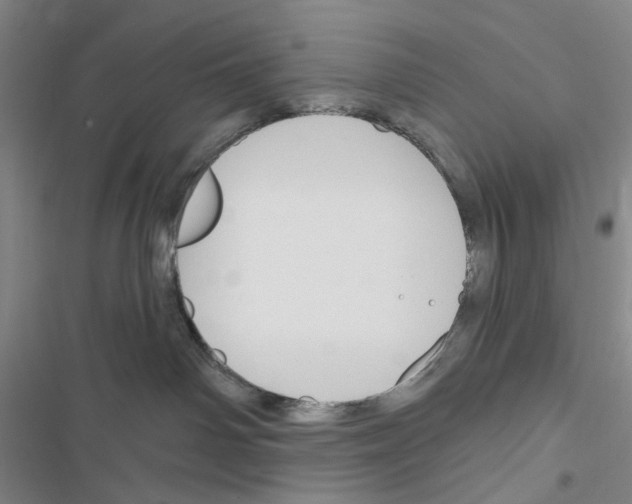 X0000116650142201001251205